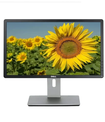 خرید مانیتور Dell P2214H